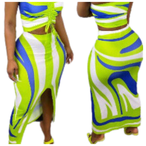 Wild Dreams Two Piece Skirt Set