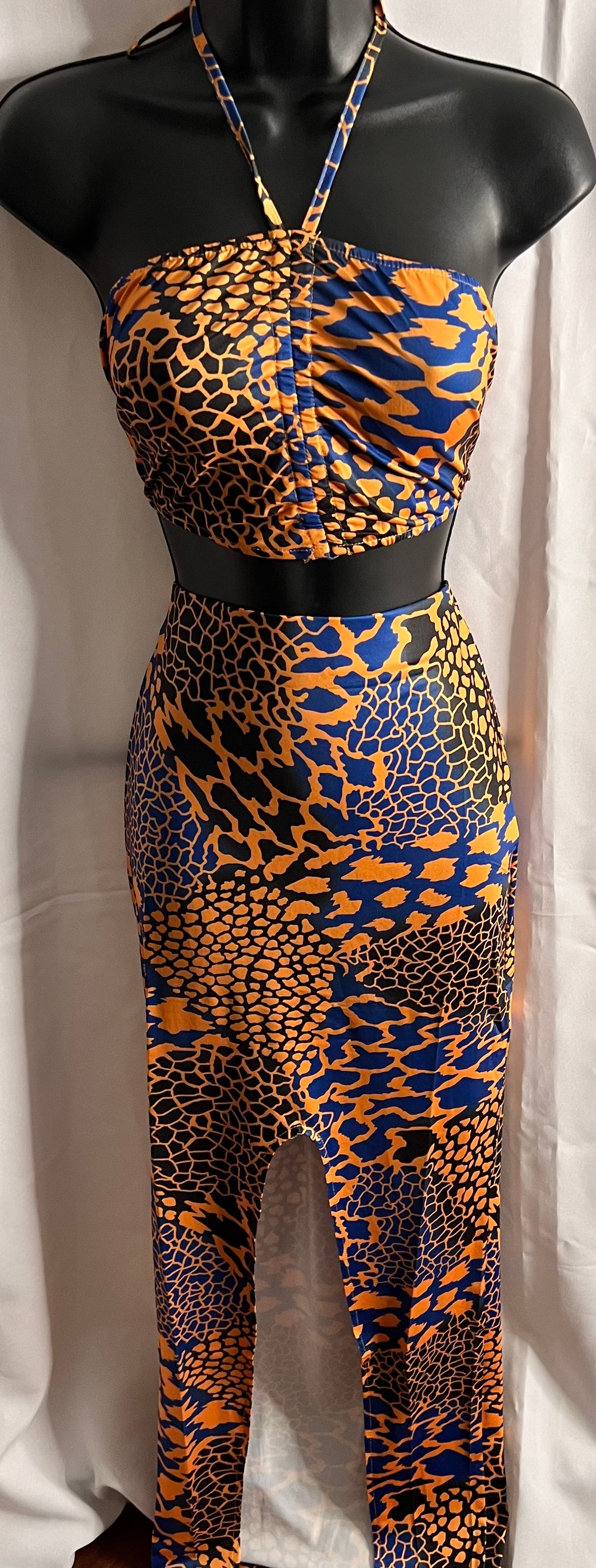Wild Dreams Two Piece Skirt Set